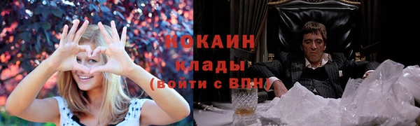 дживик Волоколамск