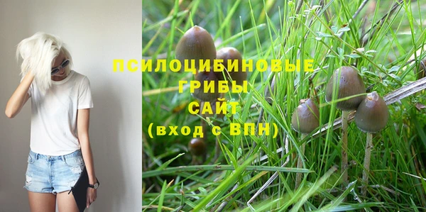 каннабис Струнино