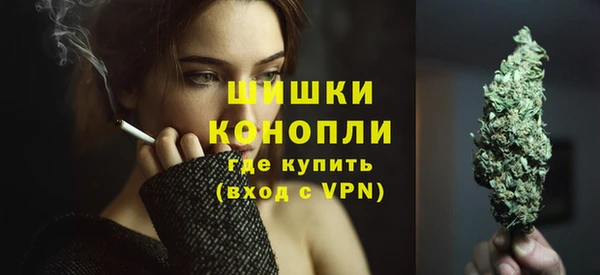 дживик Волоколамск