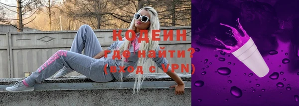 дурь Вяземский