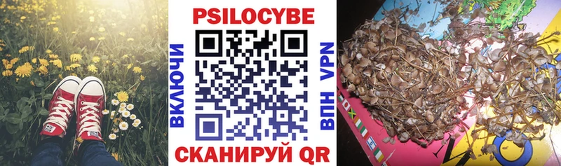 Галлюциногенные грибы мицелий Новосокольники